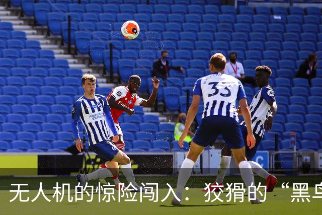无人机的惊险闯入：狡猾的“黑鸟”与中国的雷达猎手